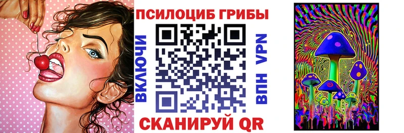 цены   Троицк  Галлюциногенные грибы Psilocybe 