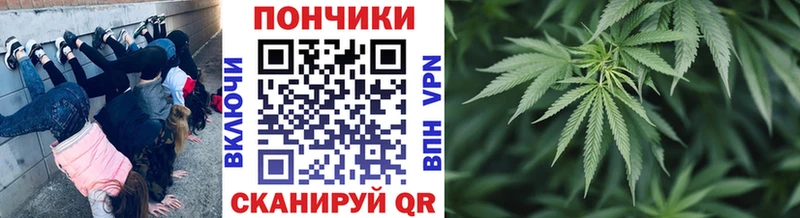 Марихуана индика  Троицк 
